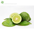 Citrus Aurantifolia Cold Lime Oil